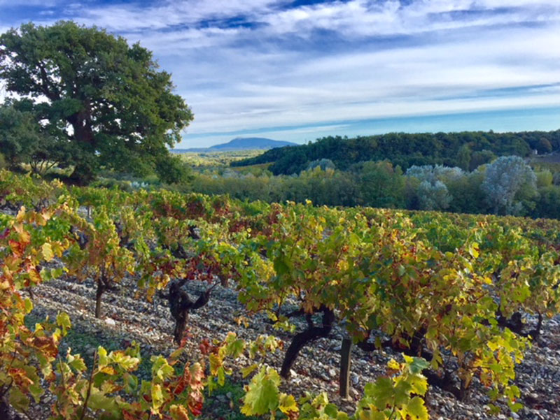 Ontdekking van de Drôme Provençale