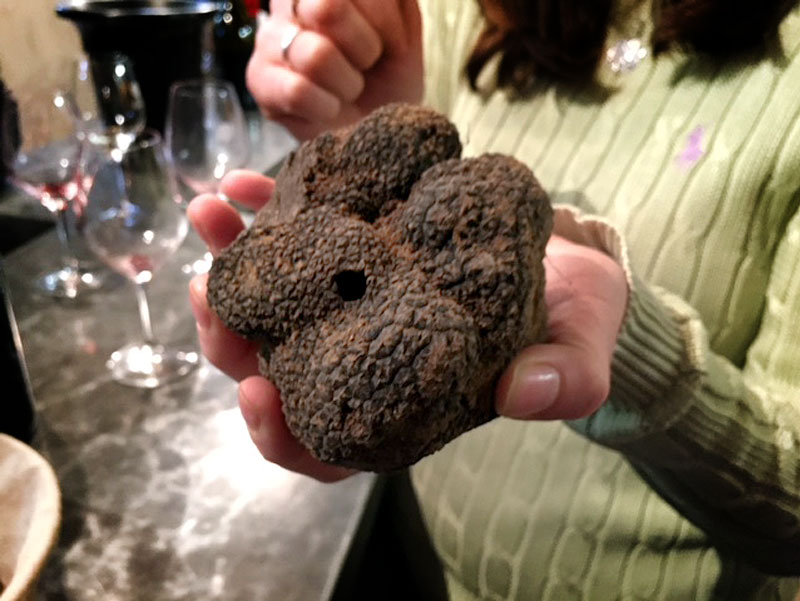 Truffle discovery stays